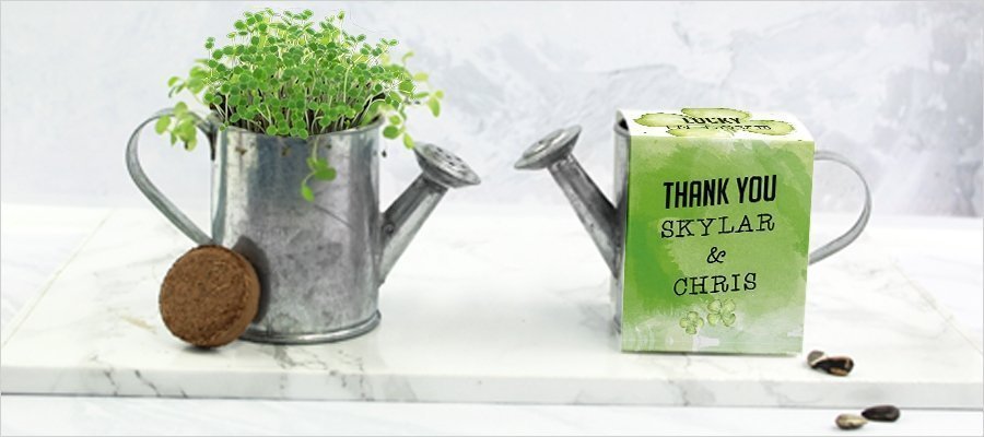 green-watering-can-seed-wedding-favours