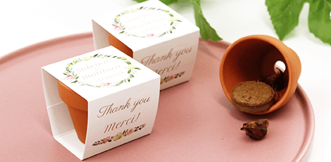 Flowerpots: outdoor wedding favours filled with flower seeds