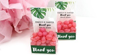 clear-sweet-bags-wedding-favours