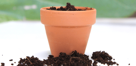 potting soil in green favours
